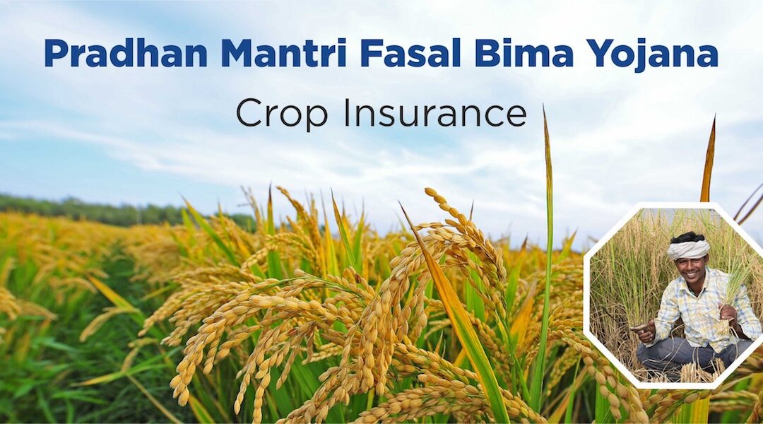 Crop Insurance Scheme a Big Success Story