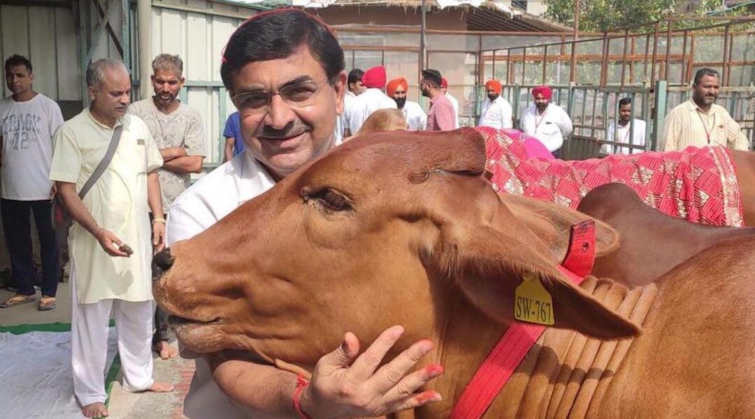 Cows becoming  Laxmi in producing wealth, nourishing health and generating employment