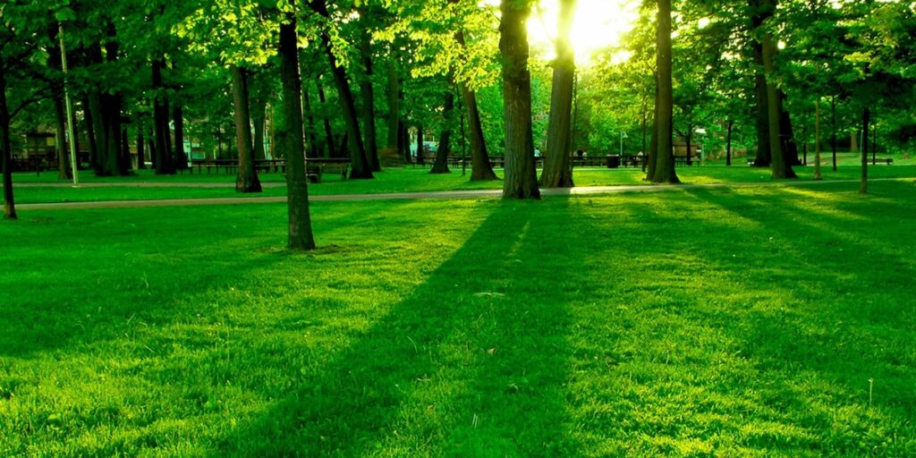 Nature