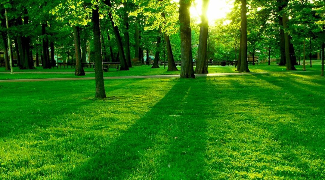 Befriend Nature to Protect & Preserve Environment