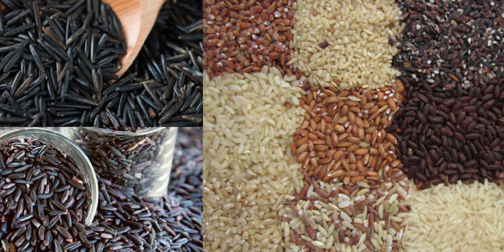 Rice