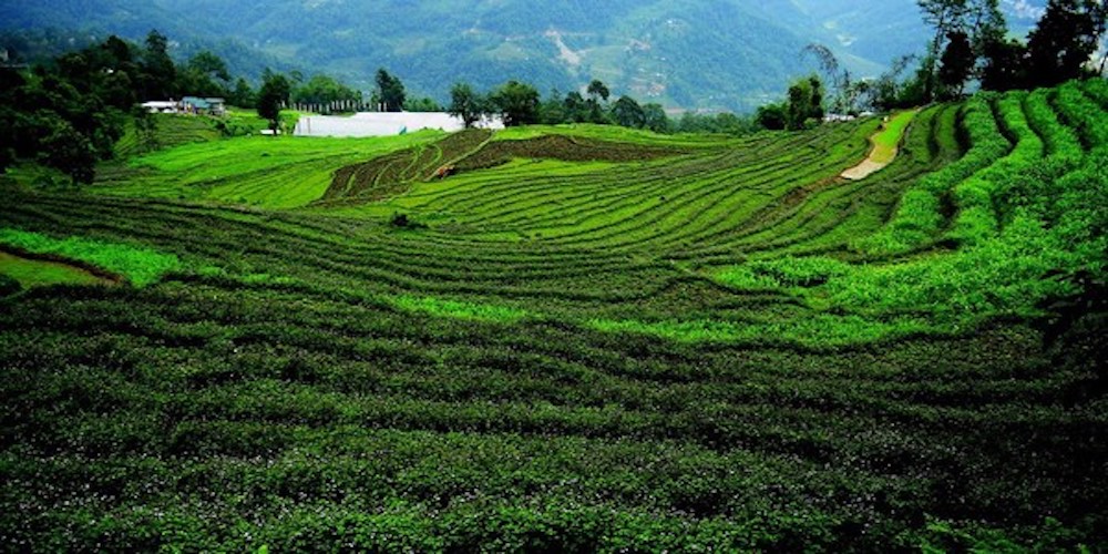 RSikkim