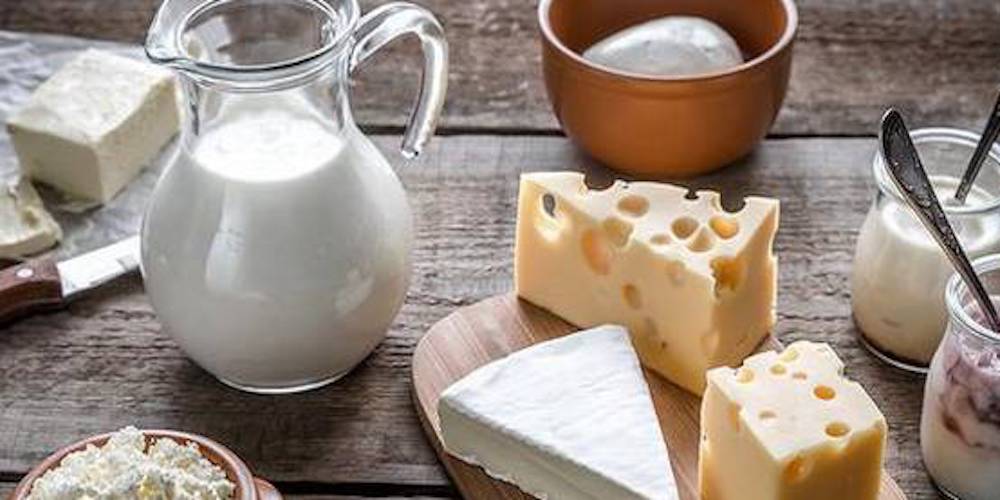 Dairy