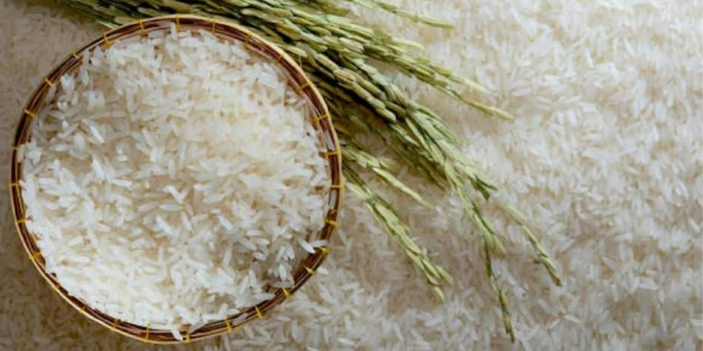 Non Basmati Rice