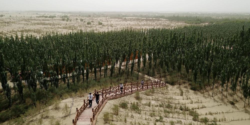 Land restoration