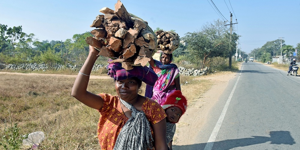 Tribal women carry wooden logs to sell at a market for livelihood