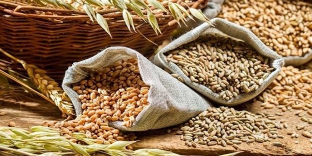 wheat-production