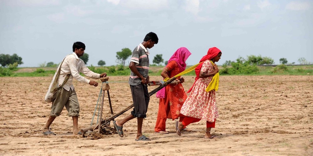 Marginal-farmers-must-have-income-diversification