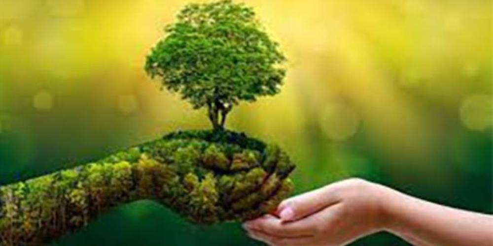 Transforming the Environment