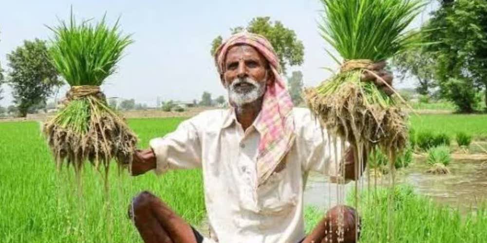 Empowering the farmers
