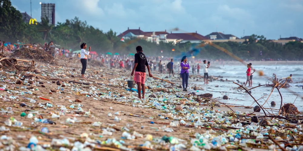 Plastic Pollution