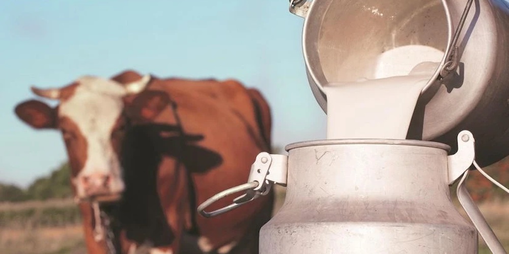 India’s milk production