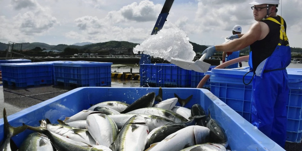 Promoting Fish Cultivation