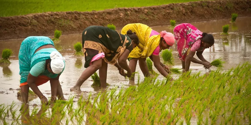 Empowering Women Farmers