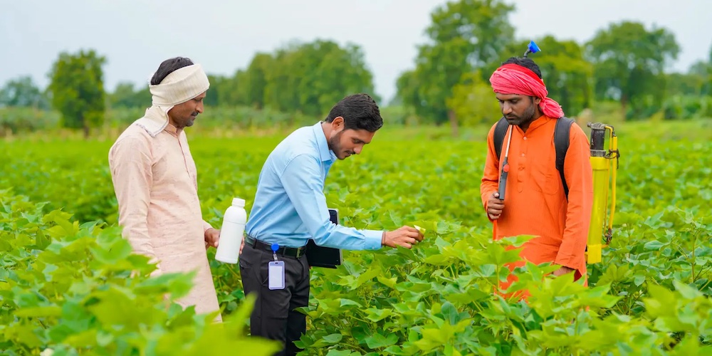 Empowering Farmers