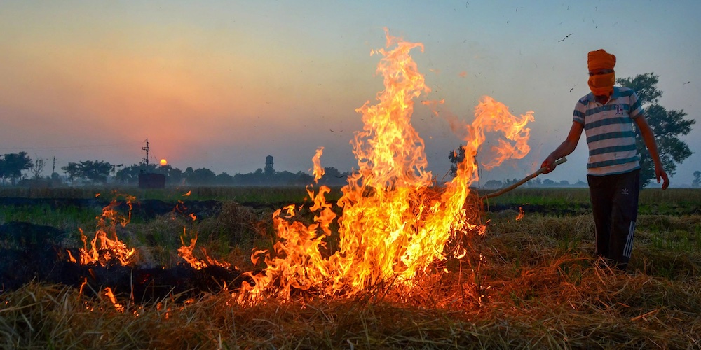 Stubble Burning