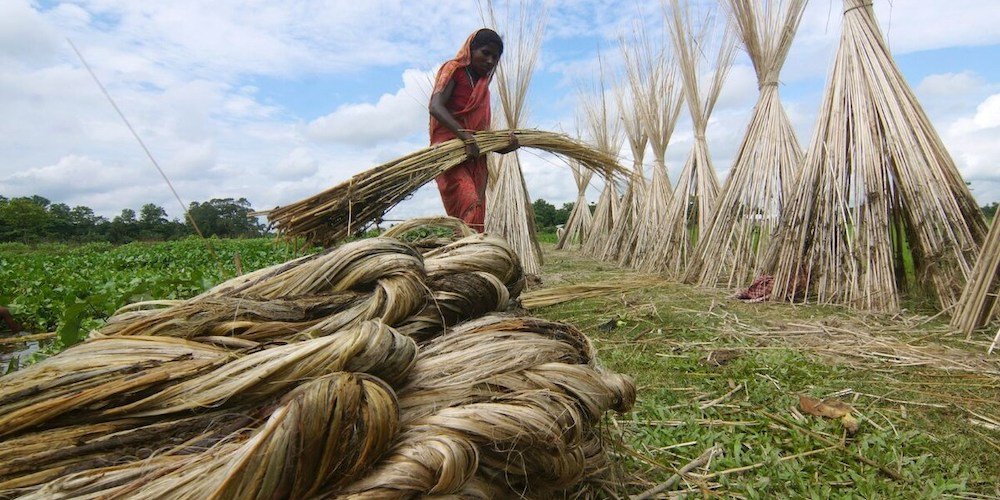 jute